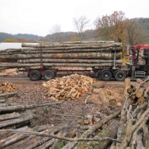 CHÂTAIGNIER EN GRUME, CAMION DE 50 STÈRES