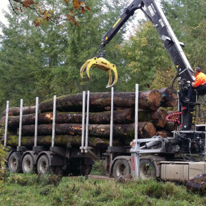 GRUME DE BOIS